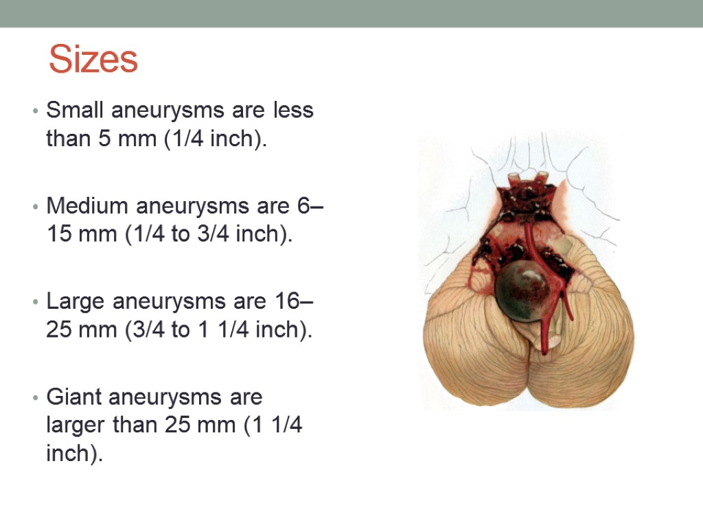 Sizes Small aneurysms are less than 5 mm (1/4 inch). Medium aneurysms are 6–15